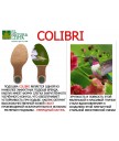 Ботильоны El Naturalista n472 antique egeo / colibri