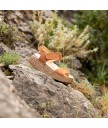 Босоножки El Naturalista N5970 Pleasant Frambuesa / Shinrin